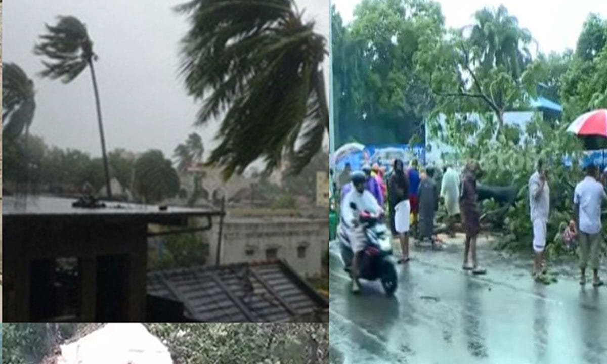 തൃശൂരിൽ മിന്നൽച്ചുഴലി ഭീതി; വൻമരങ്ങൾ കടപുഴകി, വിദ്യാലയത്തിന് നാശനഷ്ടം; കുട്ടികൾ രക്ഷപ്പെട്ടത് അത്ഭുതകരമായി
