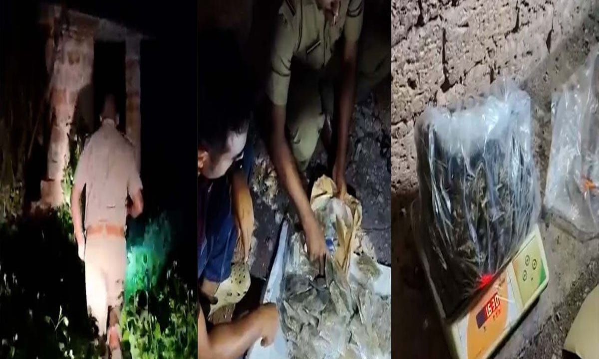മട്ടന്നൂരിൽ വൻ കഞ്ചാവ് വേട്ട; പായ്ക്കറ്റുകളിലാക്കിയ 1.600 കിലോ കഞ്ചാവ് പിടികൂടി