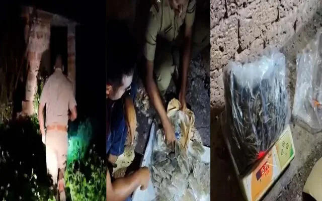 മട്ടന്നൂരിൽ വൻ കഞ്ചാവ് വേട്ട; പായ്ക്കറ്റുകളിലാക്കിയ 1.600 കിലോ കഞ്ചാവ് പിടികൂടി