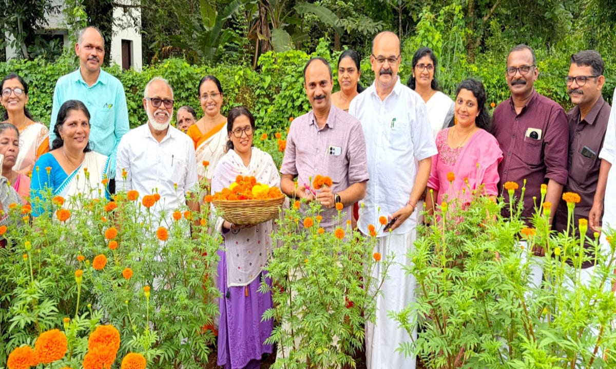 ‘ഓണത്തിന് ഒരു കൊട്ടപ്പൂവ്’: ചെണ്ടുമല്ലി കൃഷിയുടെ വിളവെടുപ്പ് നടന്നു