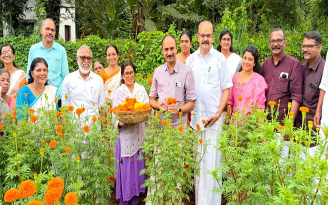 ‘ഓണത്തിന് ഒരു കൊട്ടപ്പൂവ്’: ചെണ്ടുമല്ലി കൃഷിയുടെ വിളവെടുപ്പ് നടന്നു