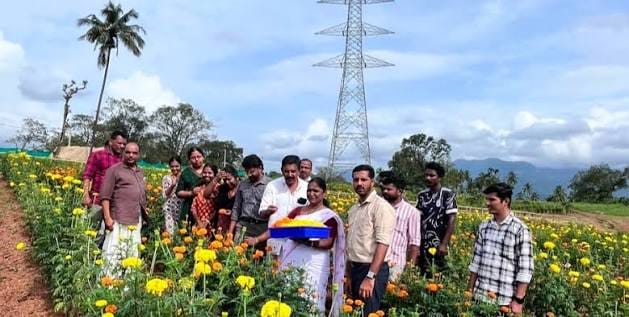 ആറളം ഫാമിൽ ചെണ്ടുമല്ലി വിളവെടുപ്പ് തുടങ്ങി; കിലോയ്ക്ക് 150 രൂപ നിരക്കിൽ പൂക്കൾ വാങ്ങാം
