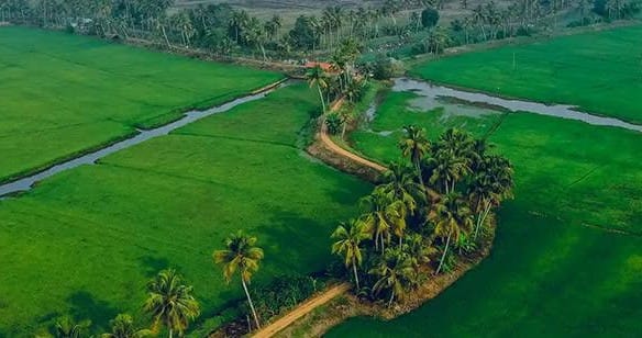 കൃഷിനാശ ധനസഹായത്തിനും വിള ഇൻഷുറൻസിനും അപേക്ഷിക്കാനുള്ള സമയപരിധി സെപ്റ്റംബർ 5 വരെ നീട്ടി